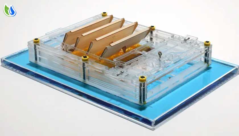 Harnessing the Power of Water Absorbents